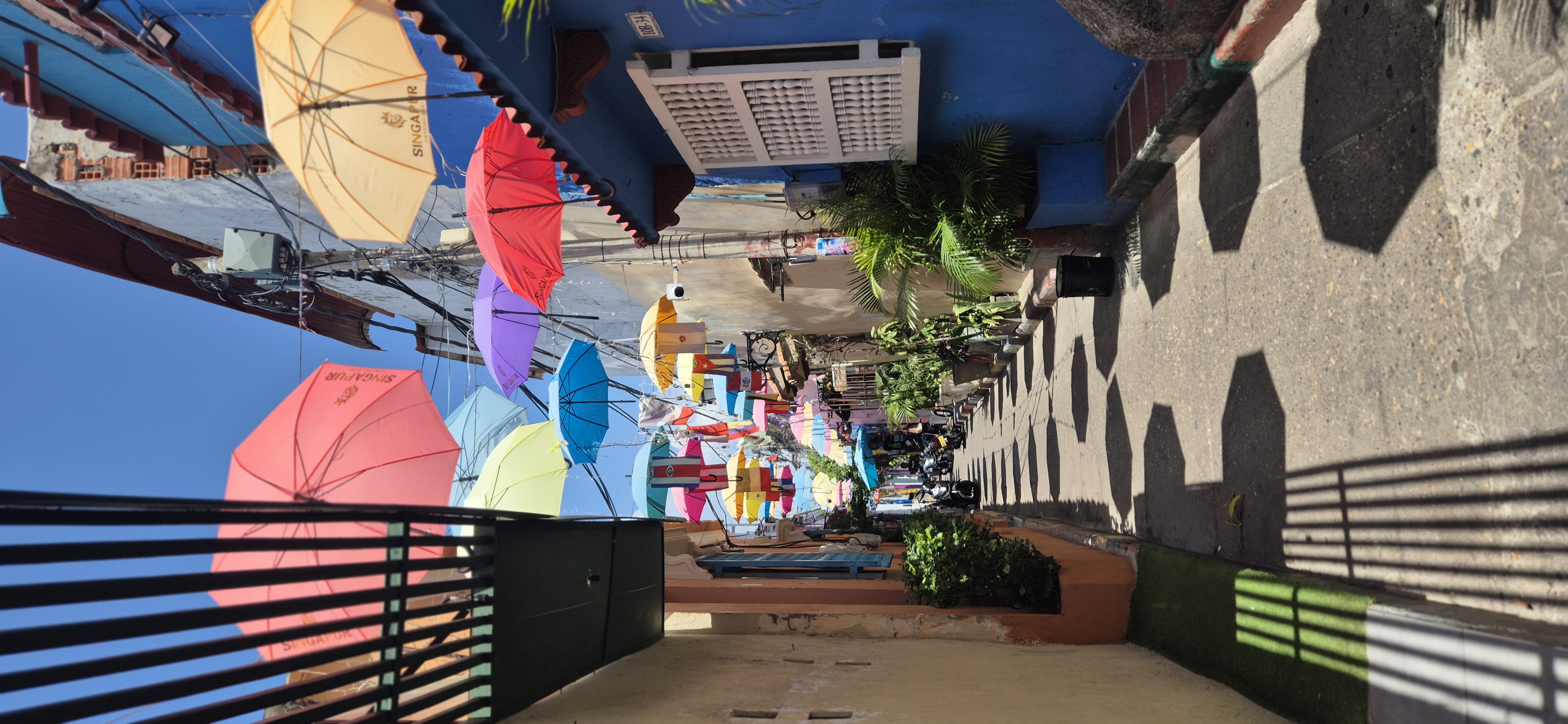 Foto da celebração em Cartagena