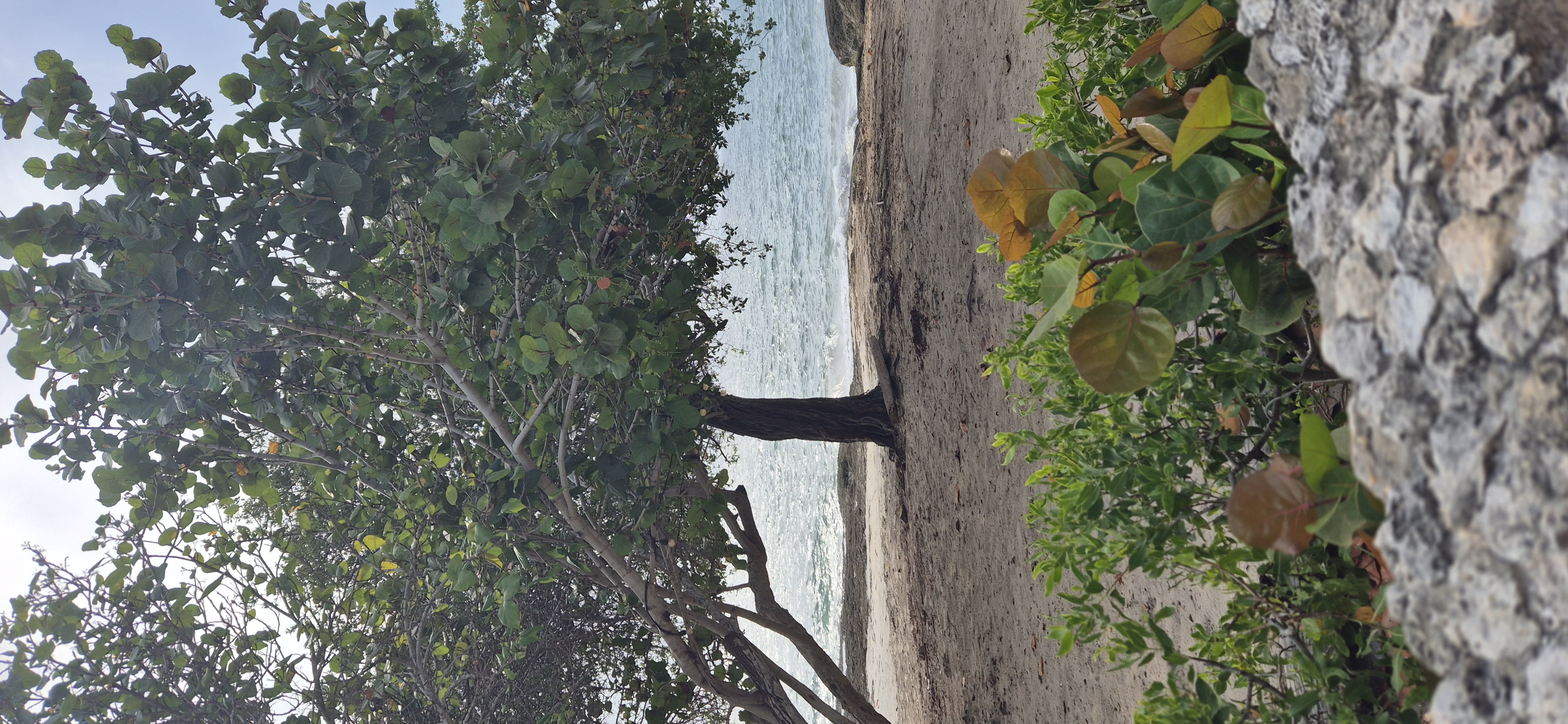 Cartagena